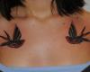 Couple of swallows