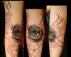 Eye