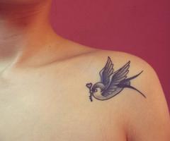 bird