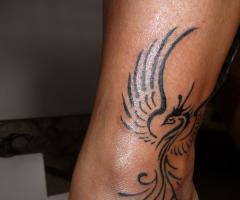 Phoenix tattoos for men and women