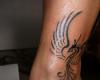 Phoenix tribal on foot