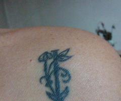 Inicial