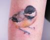 Amanda Wachob Tattoo by Needles and Sins