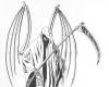 Grim Reaper Drawings Tattoos