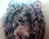 Rostro de lobo black and grey