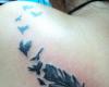 Tatuaje de gran pluma desprendiendo aves