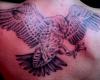 Gran aguila volando