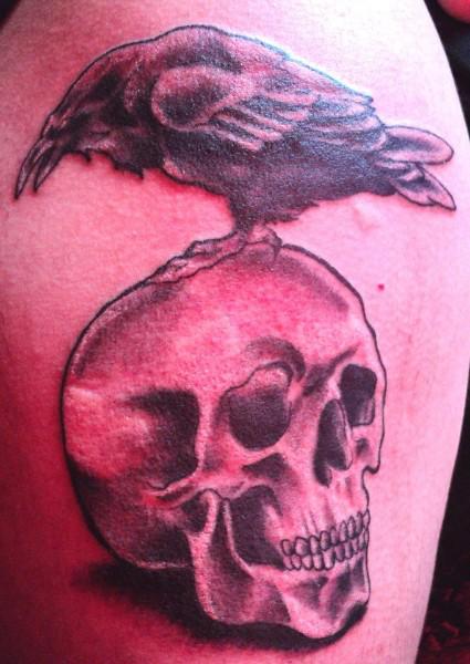 Cuervo sobre calavera