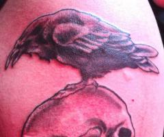Cuervo sobre calavera