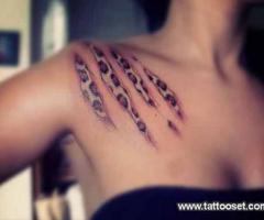 Claws to reveal the cheetah skin