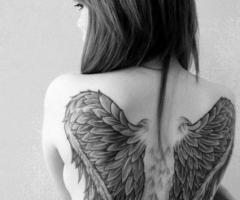 Cute big wings