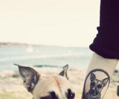 Dog portrait tattoo
