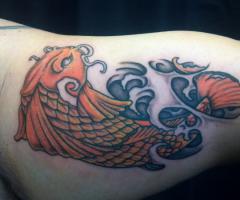 Koi for Andy