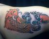 Koi for Andy