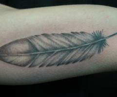 Feather tattoo by Kris VanLeuven