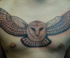 barn owl flying tattoo