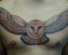 barn owl flying tattoo