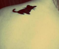 Little cat tattoo