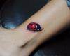 Ladybug tattoo ideas