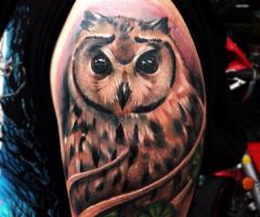 Owl tattoo realistic