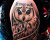 Owl tattoo realistic