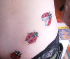 Ladybug tattoo for women