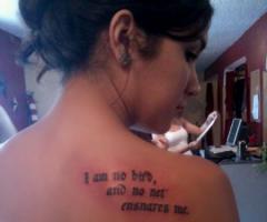 I am no bird and no net ensnares me