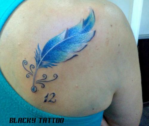 Pluma 12