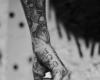 Cool Forearm Tattoos For Men