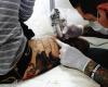Traditional Tattoo Artists at Work