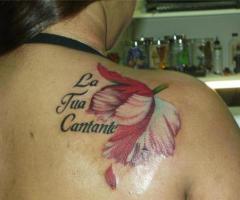 La tua cantante twilight