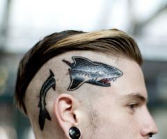 Tattoo Shark on head