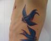 Beautiful bluebirds flying on the ribs