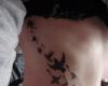 Black birds filled with bold color flying in a line