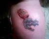 45 zodiac tattoo design gallery