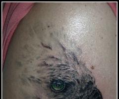Tattoo ave harpia