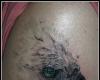 Tattoo ave harpia