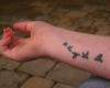 small bird tattoo on arm