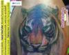 Tigre full color en el brazo