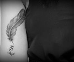 Free feather