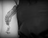 Free feather