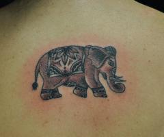 Best Elephant tattoos