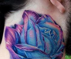 Rosas Full color