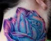 Rosas Full color