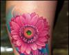 Rose color tattoo