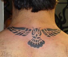 Tattoo de buho tribal