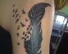 Tattoo de pluma con aves volando