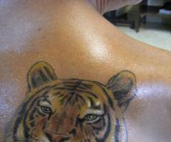 Tattoo de tigre realista