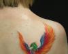 Ave fenix de color