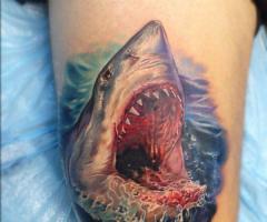 Shark tattoo design